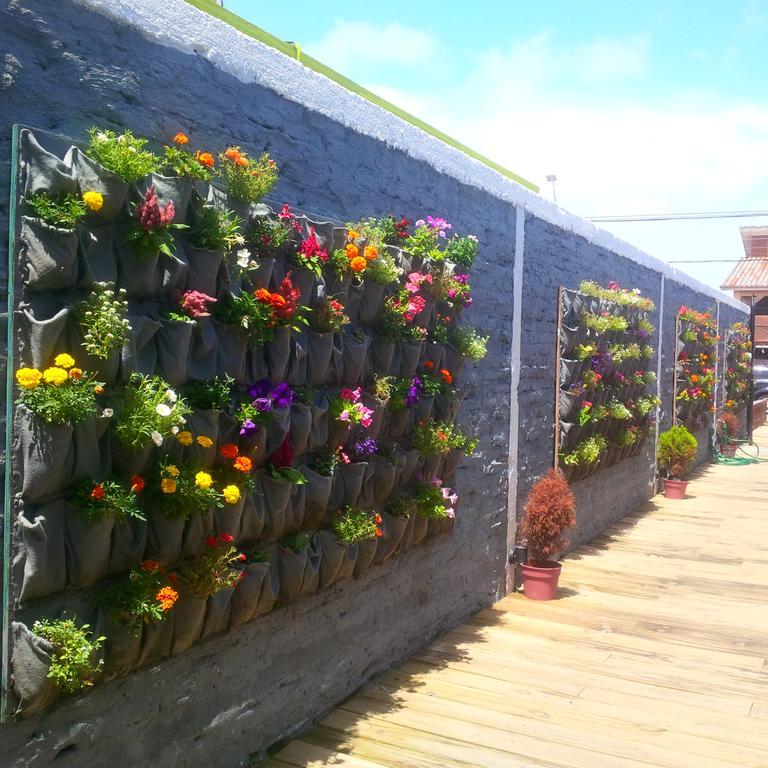 Del Barcito Hostel And Suites Punta del Este Bagian luar foto